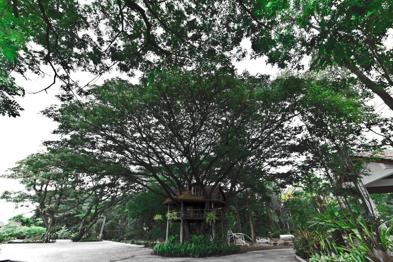 Tree House Hotel Sisaket Экстерьер фото